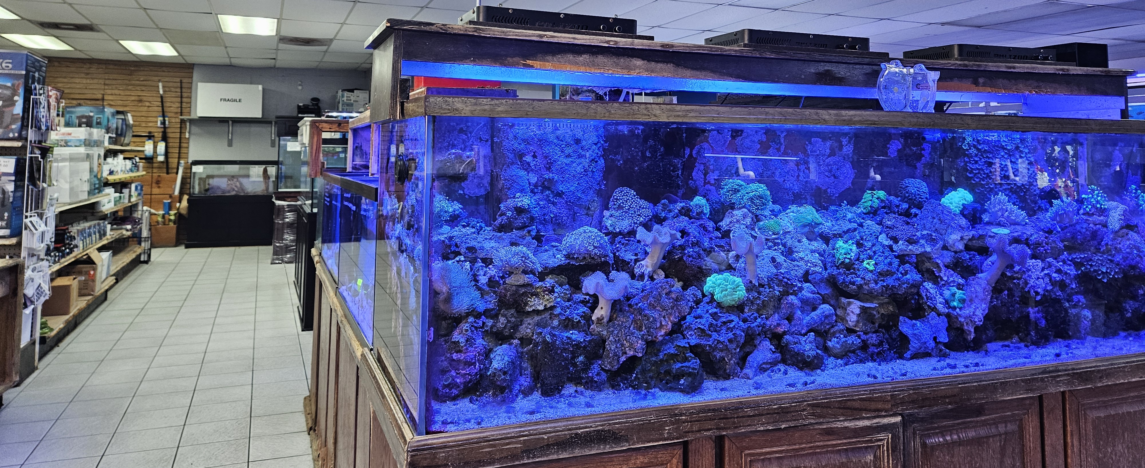 Aquarium background 1