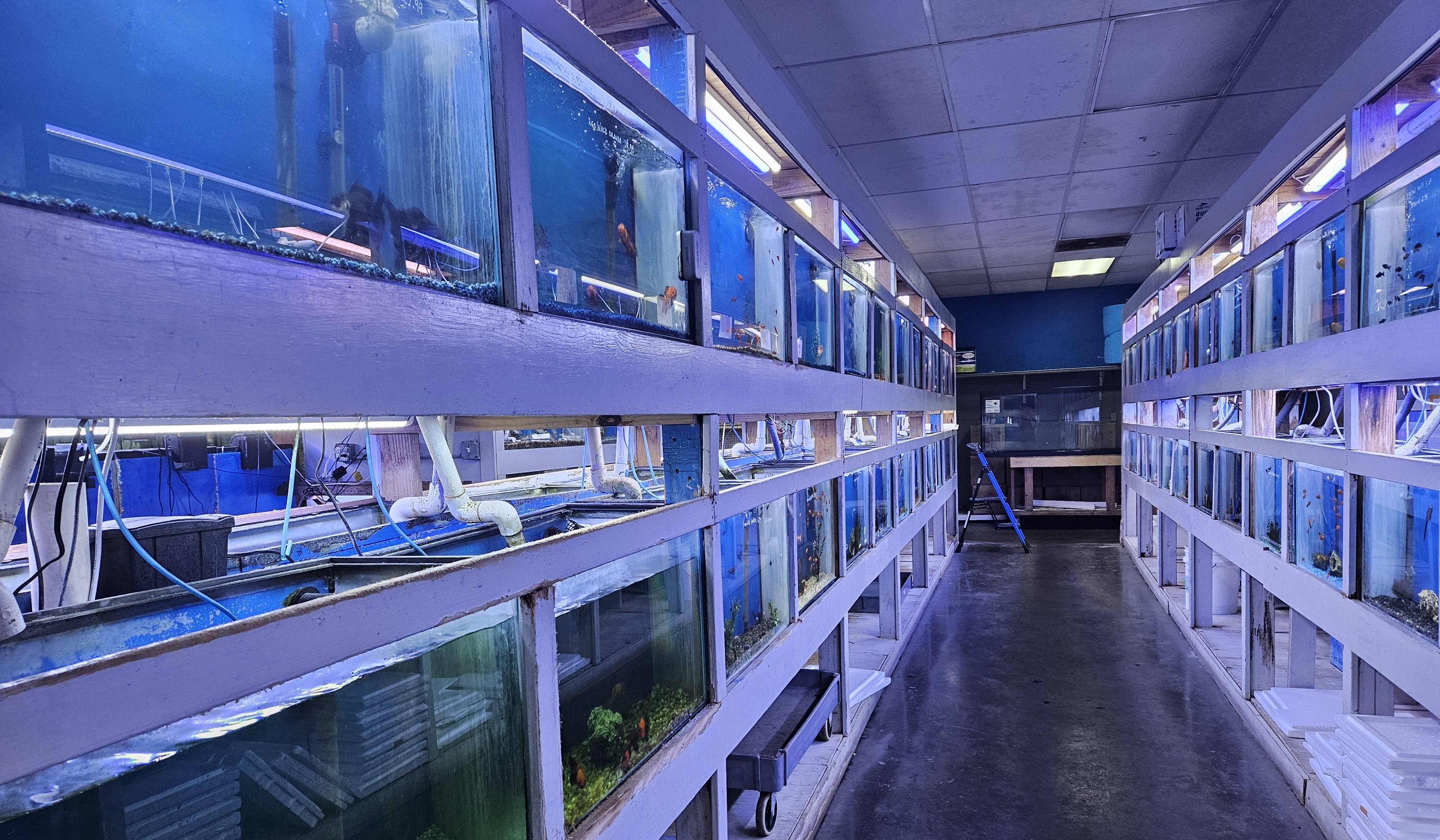 Aquarium background 4