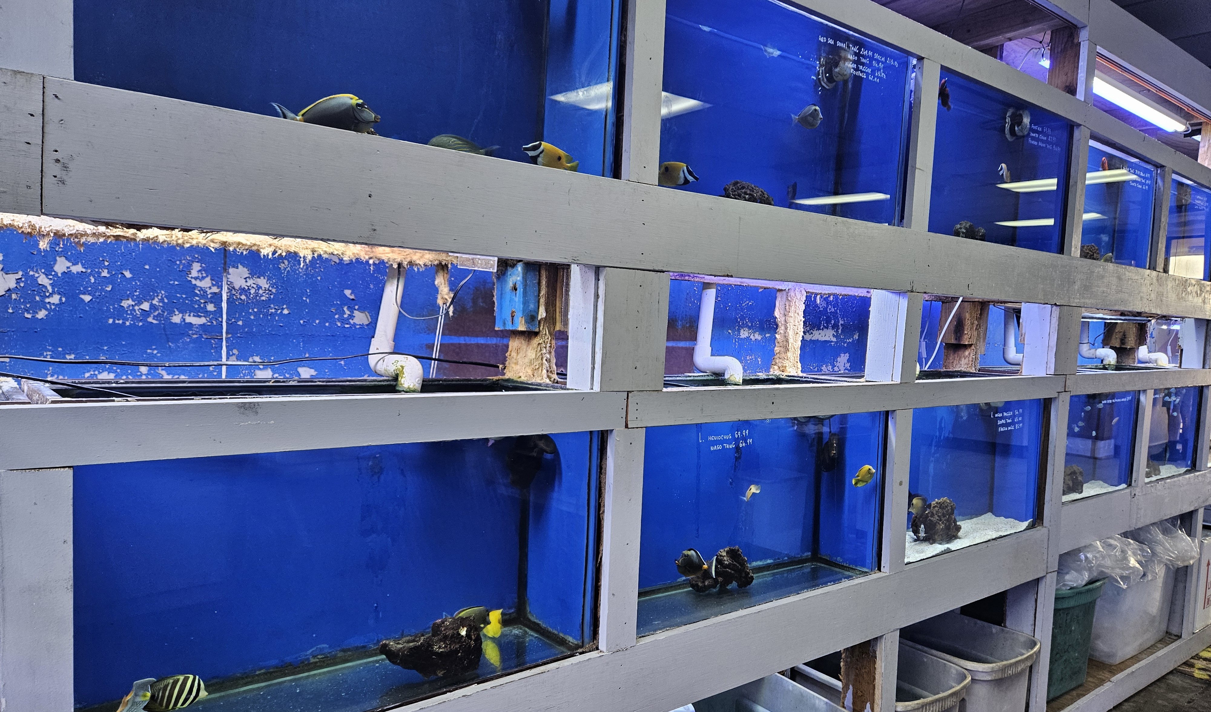 Aquarium background 5